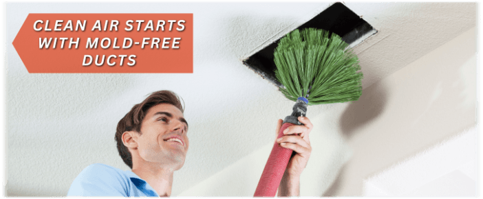 Air Duct Mold Removal in The Woodlands
