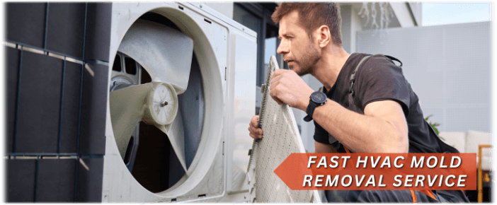 HVAC Mold Removal The Woodlands